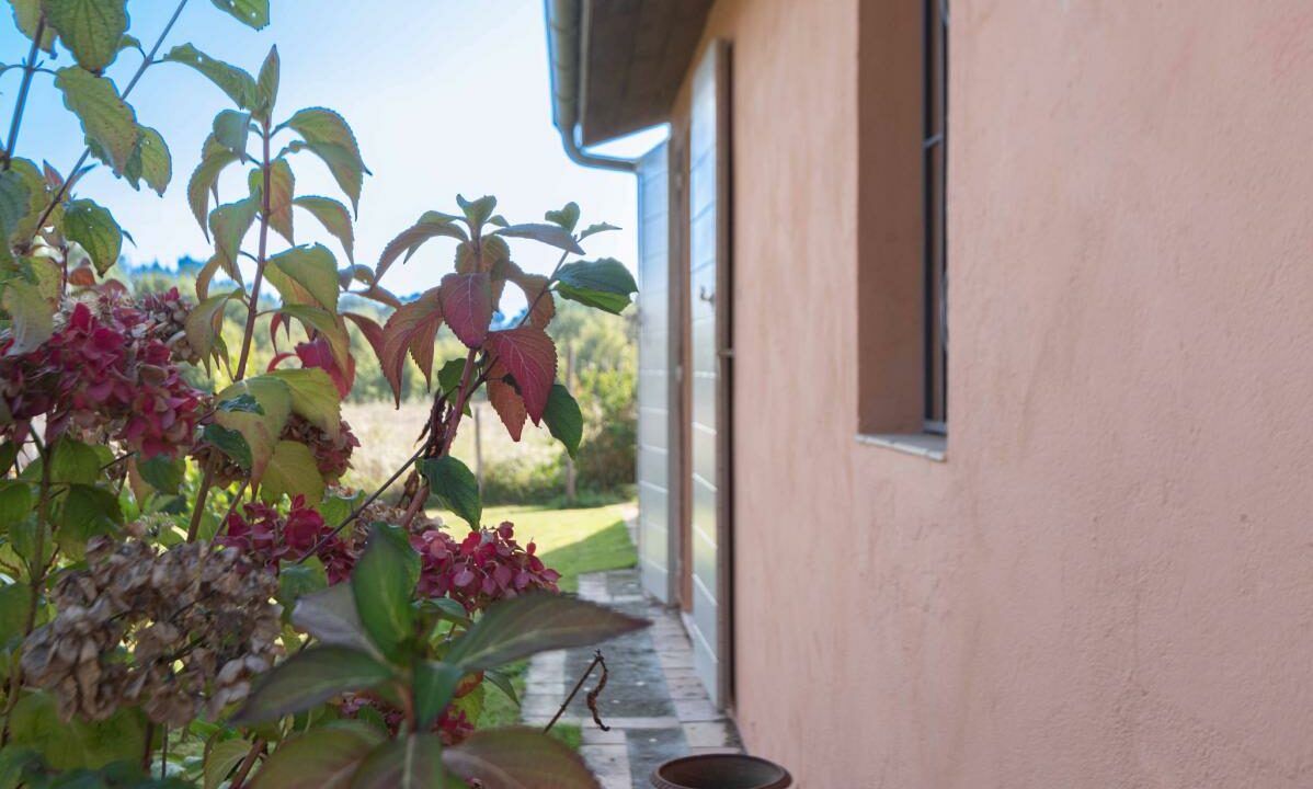 2917-27112025-234634-14