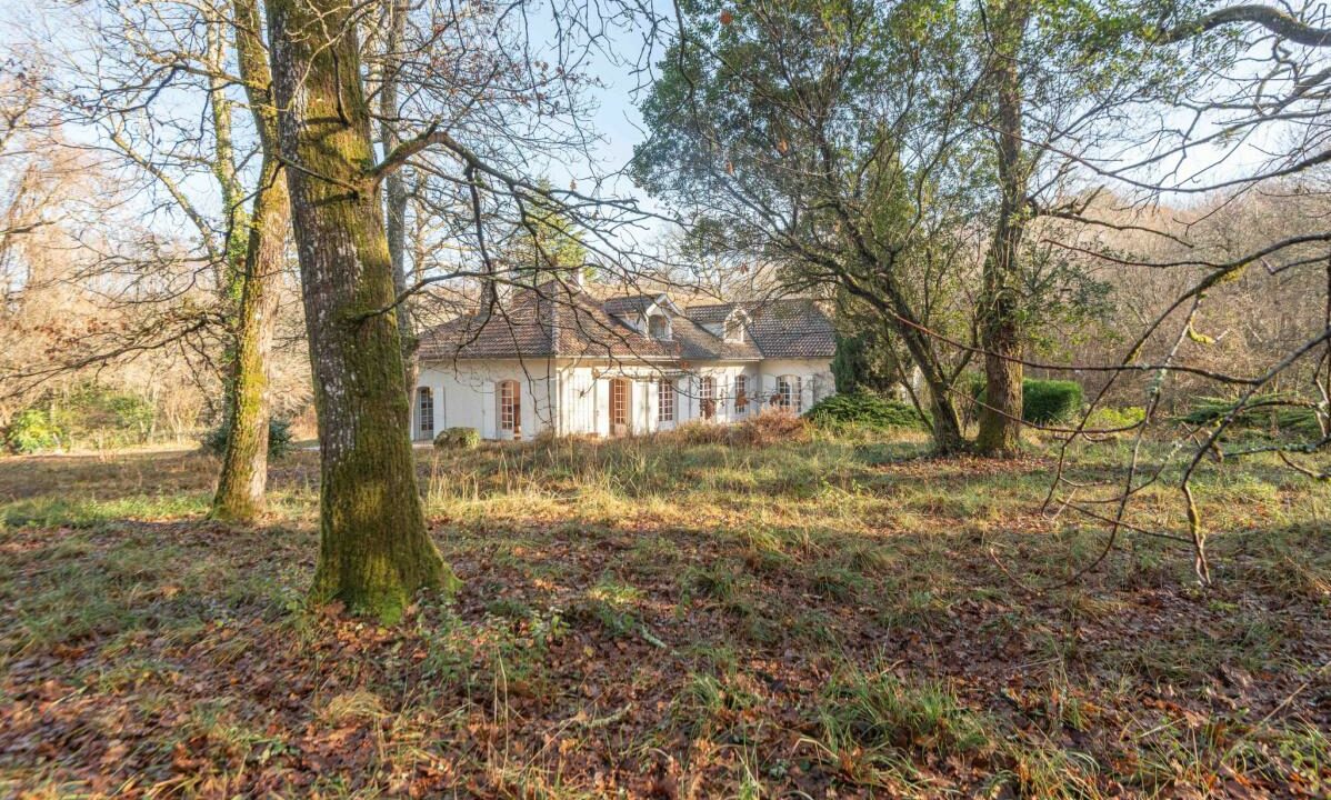 2941-27112025-234637-1