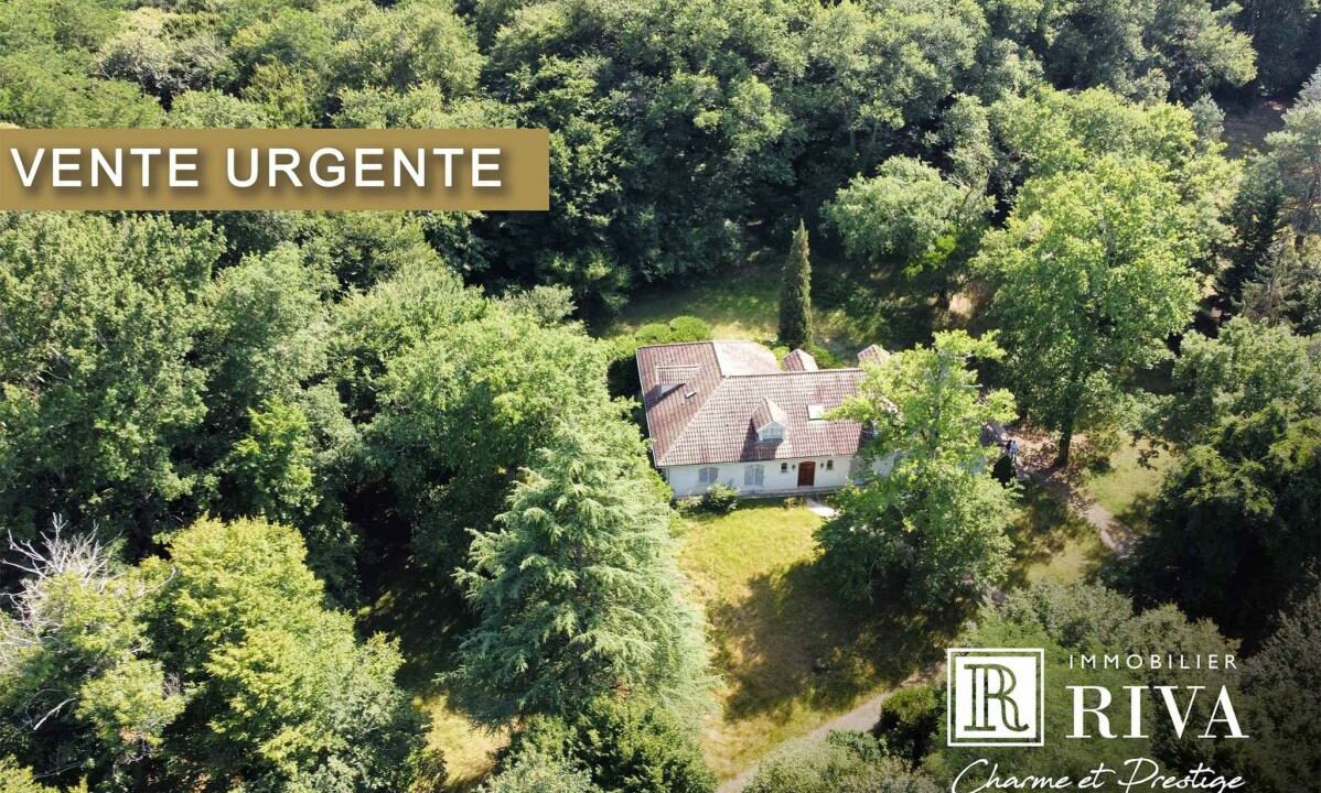 2941-27112025-234637