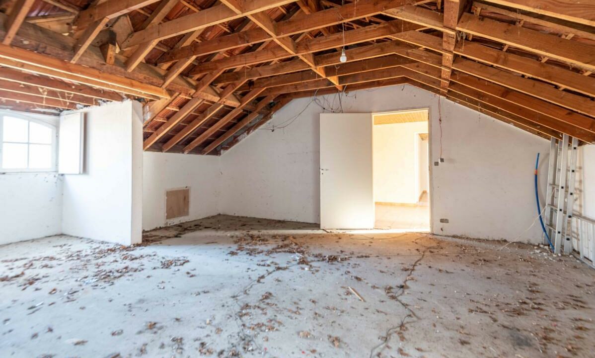 2941-27112025-234637-12