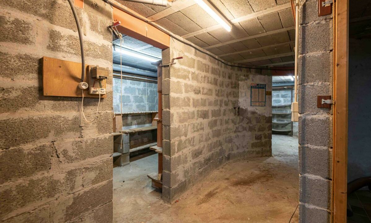 2941-27112025-234637-16