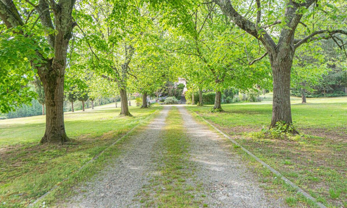 2948-2B-27112025-234638-1