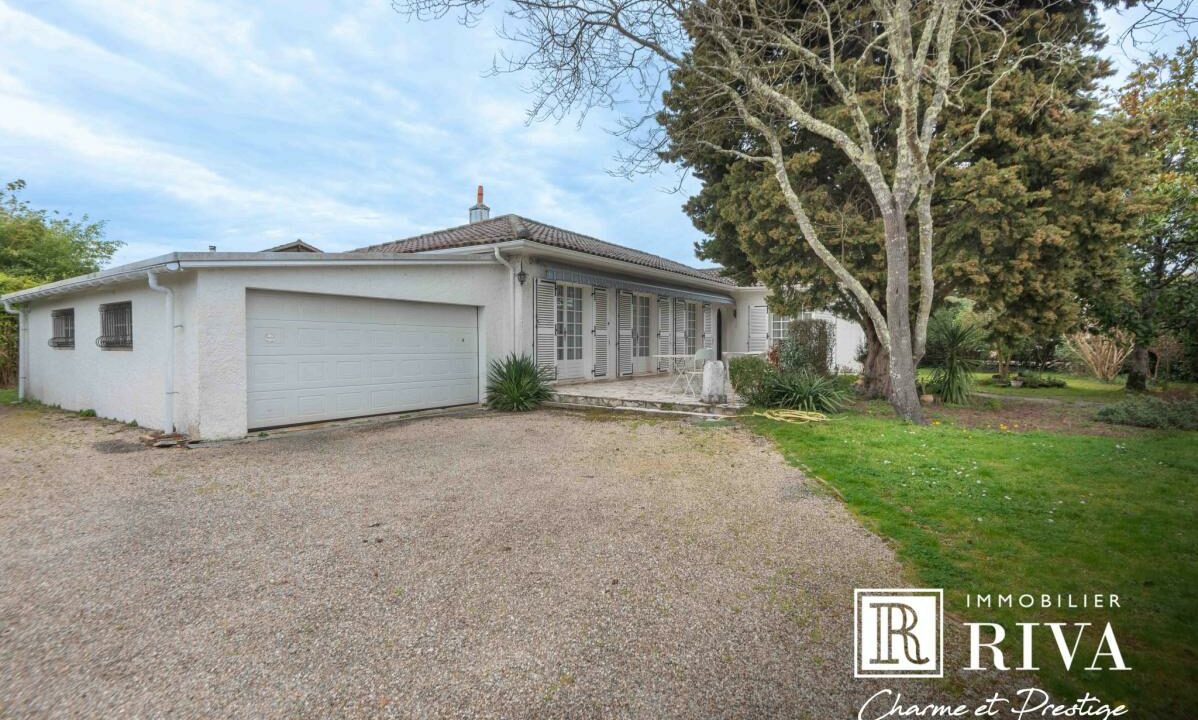 2951-27112025-234640