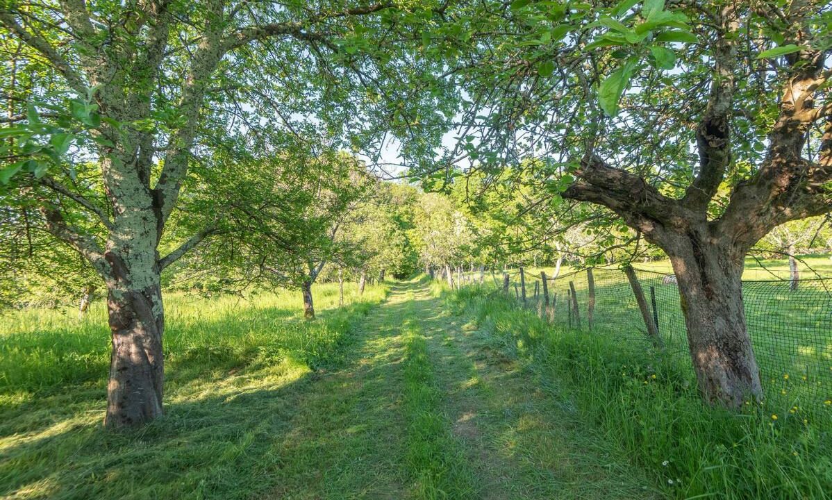 2963-27112025-234642-20