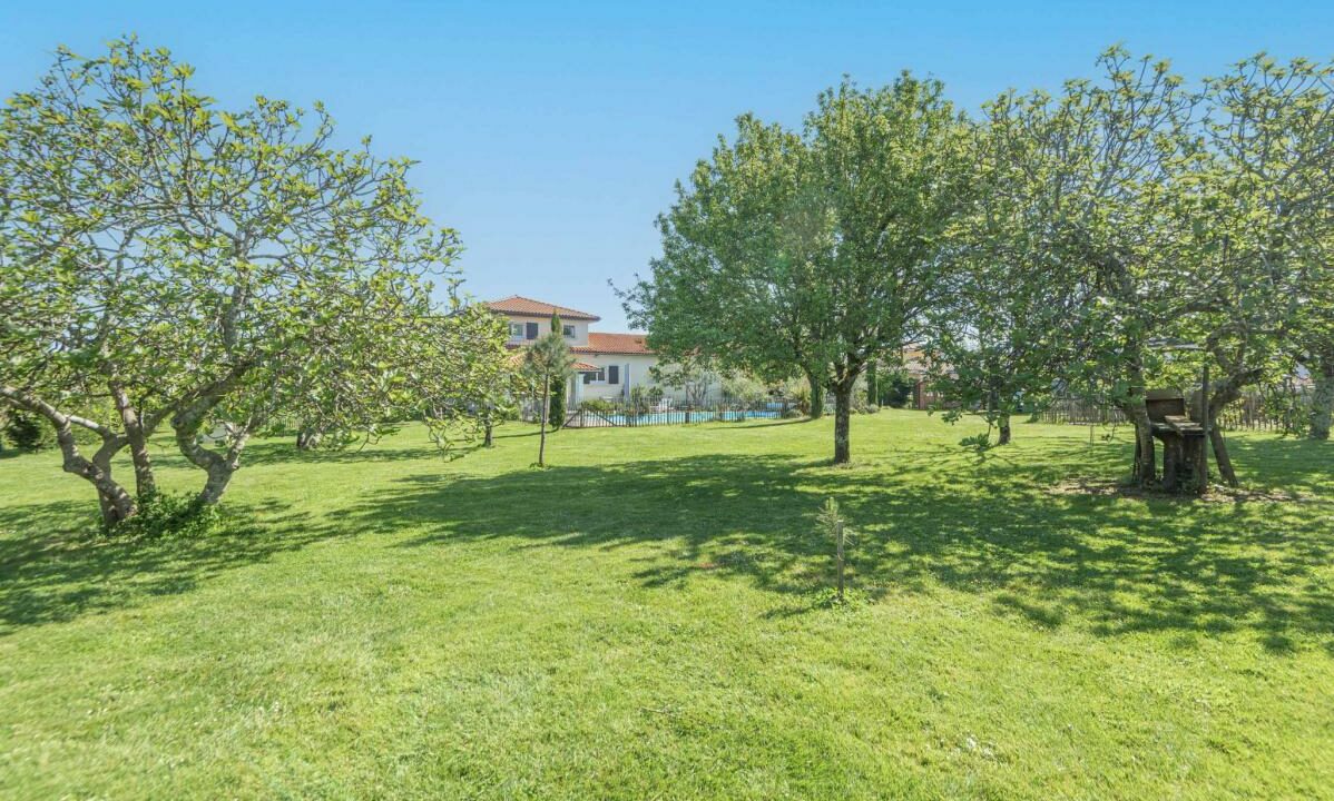 2968-27112025-234643-11