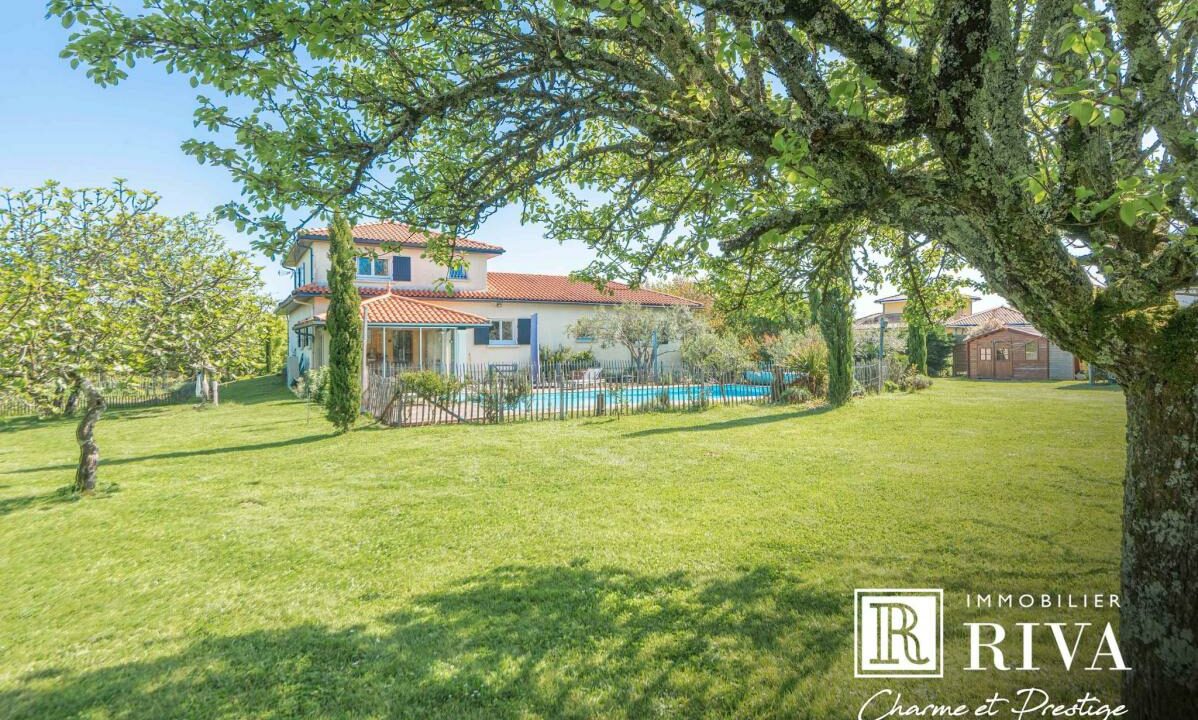 2968-27112025-234643