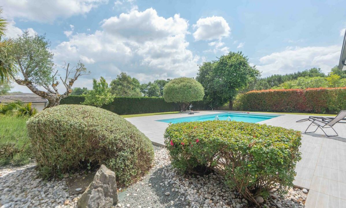 2978-27112025-234645-1