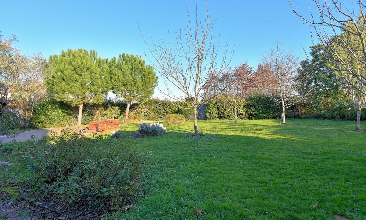 2979-27112025-234629-12