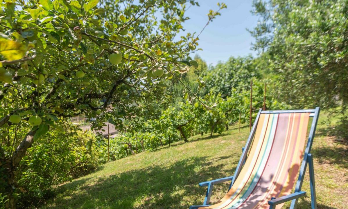 2987-27112025-234645-18