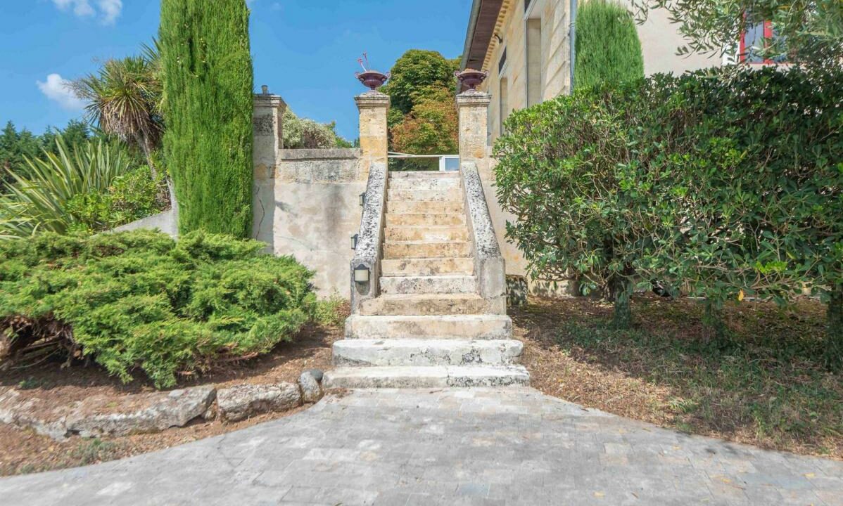 2996-27112025-234647-1