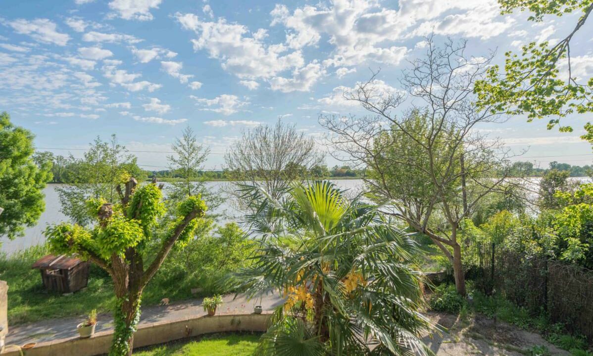 2966-11122025-231141-14