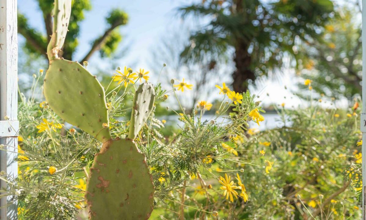 2966-11122025-231141-20