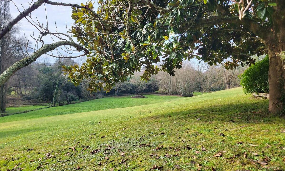 2980-17122025-094337-4