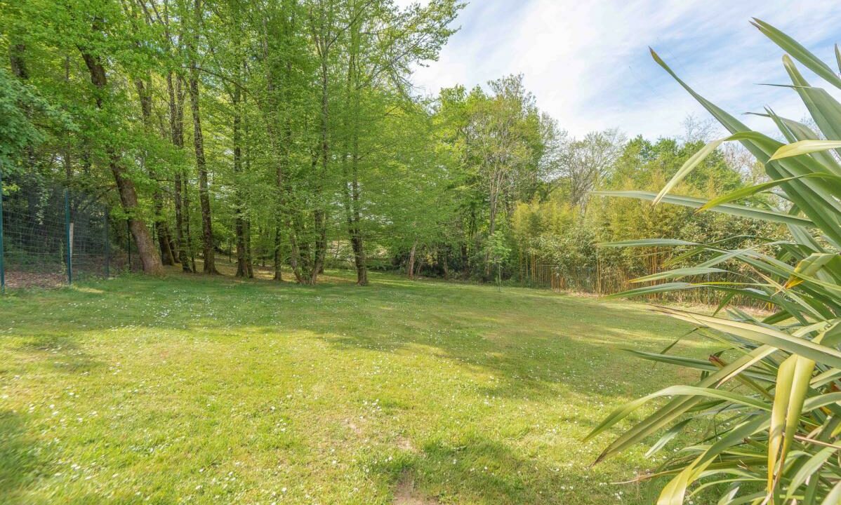 2993-03122025-195229-13