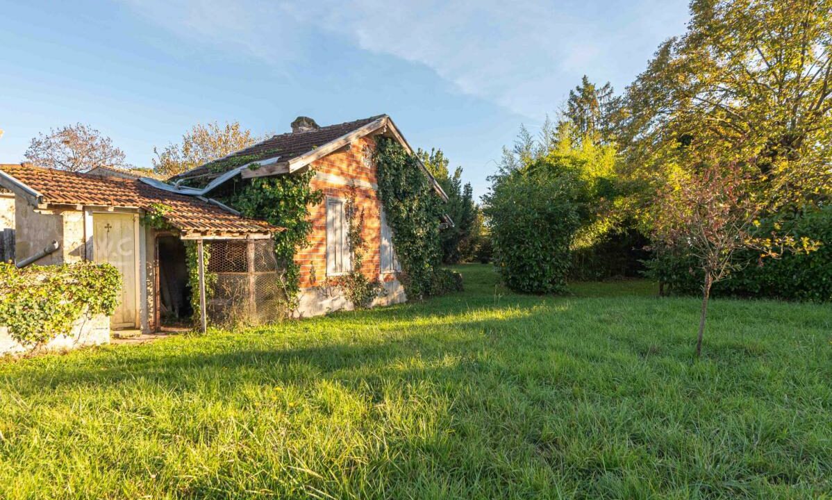 3019-06122025-133221-12