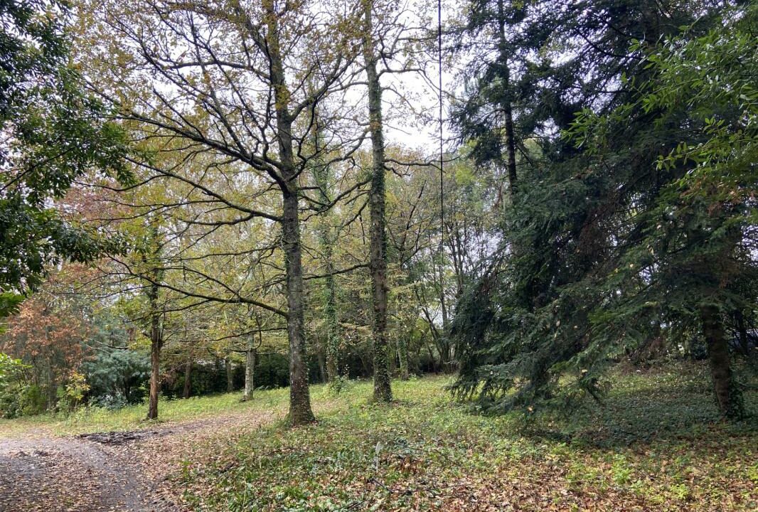 3020-02122025-183753-1