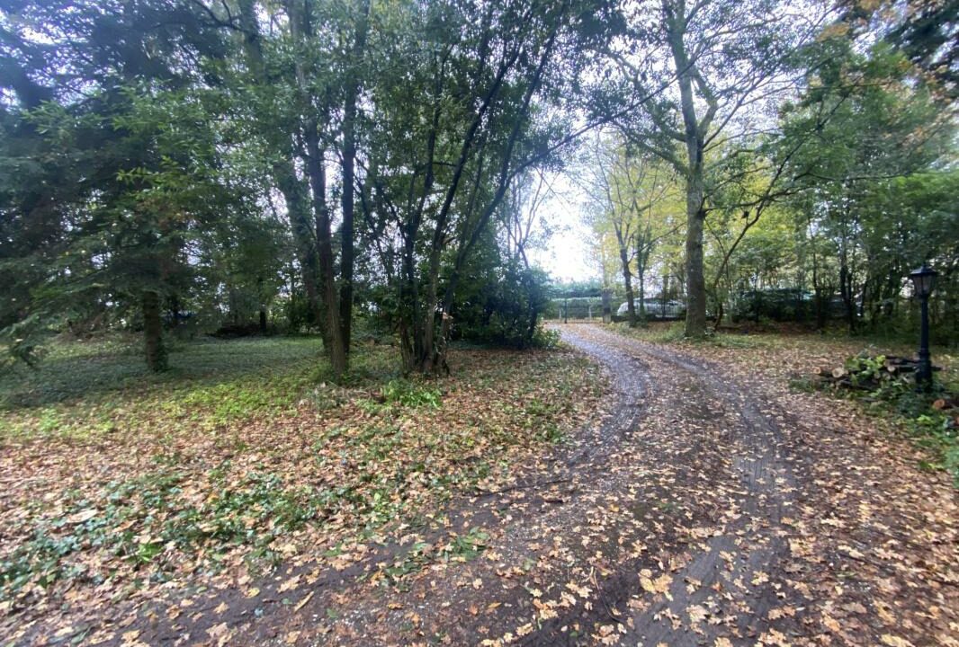 3020-02122025-183753-2