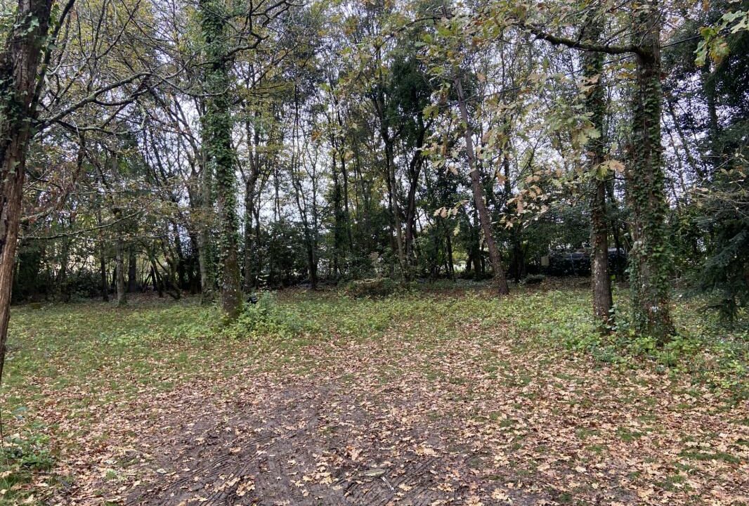 3020-02122025-183753-3