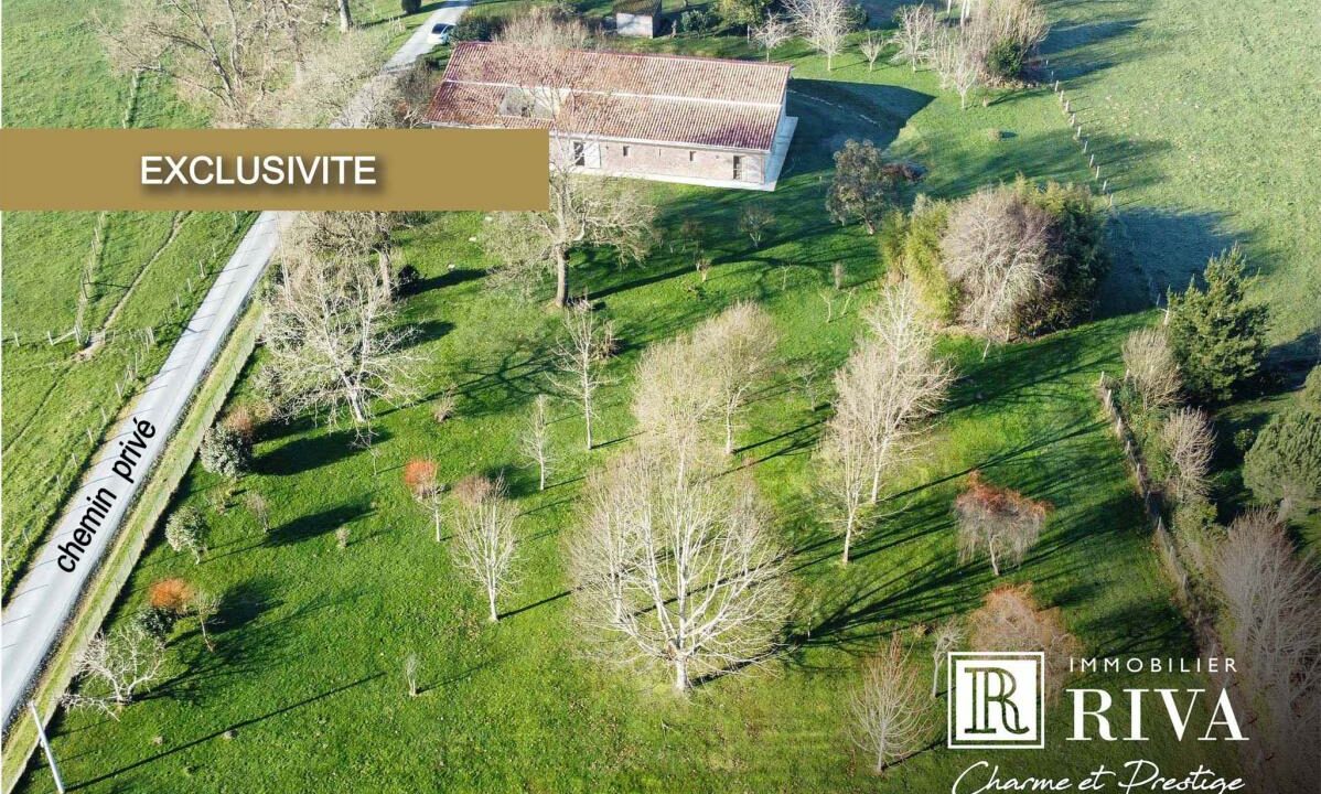 1209NL-23012026-140522