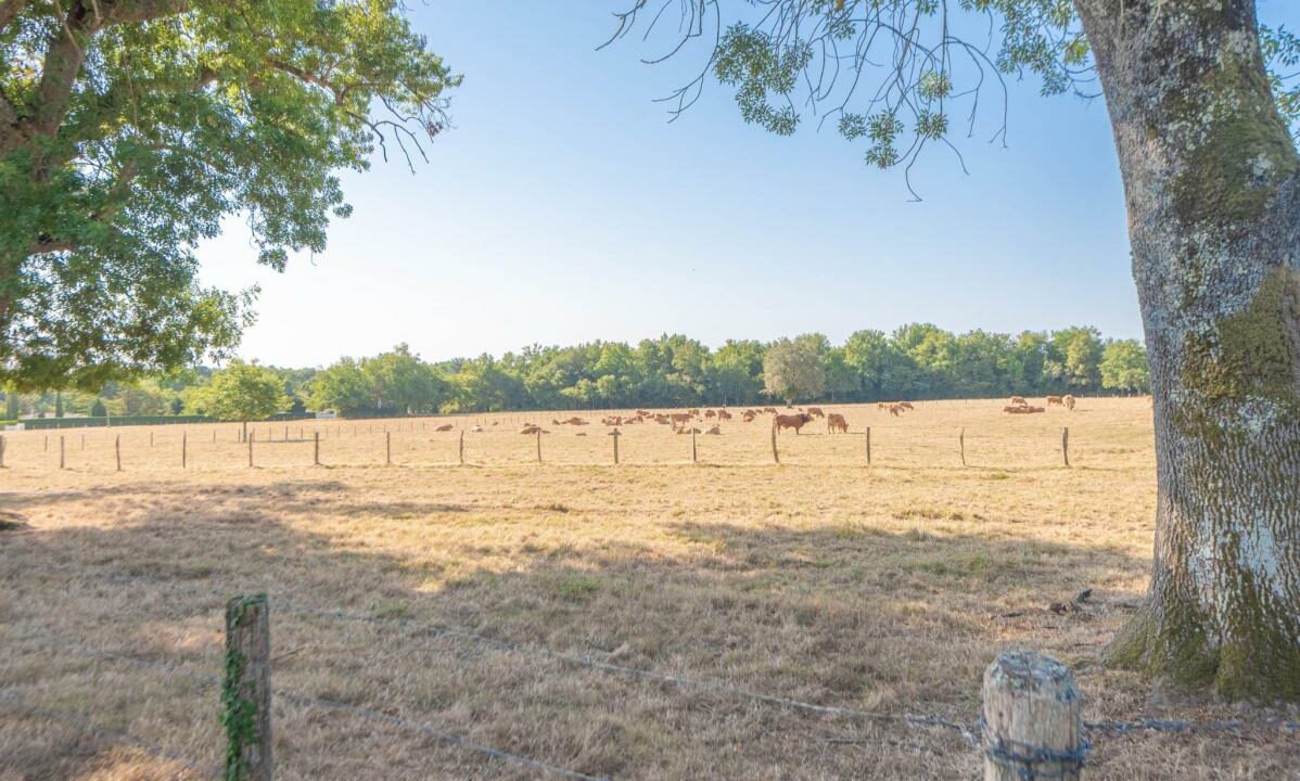 1209NL-23012026-140522-13