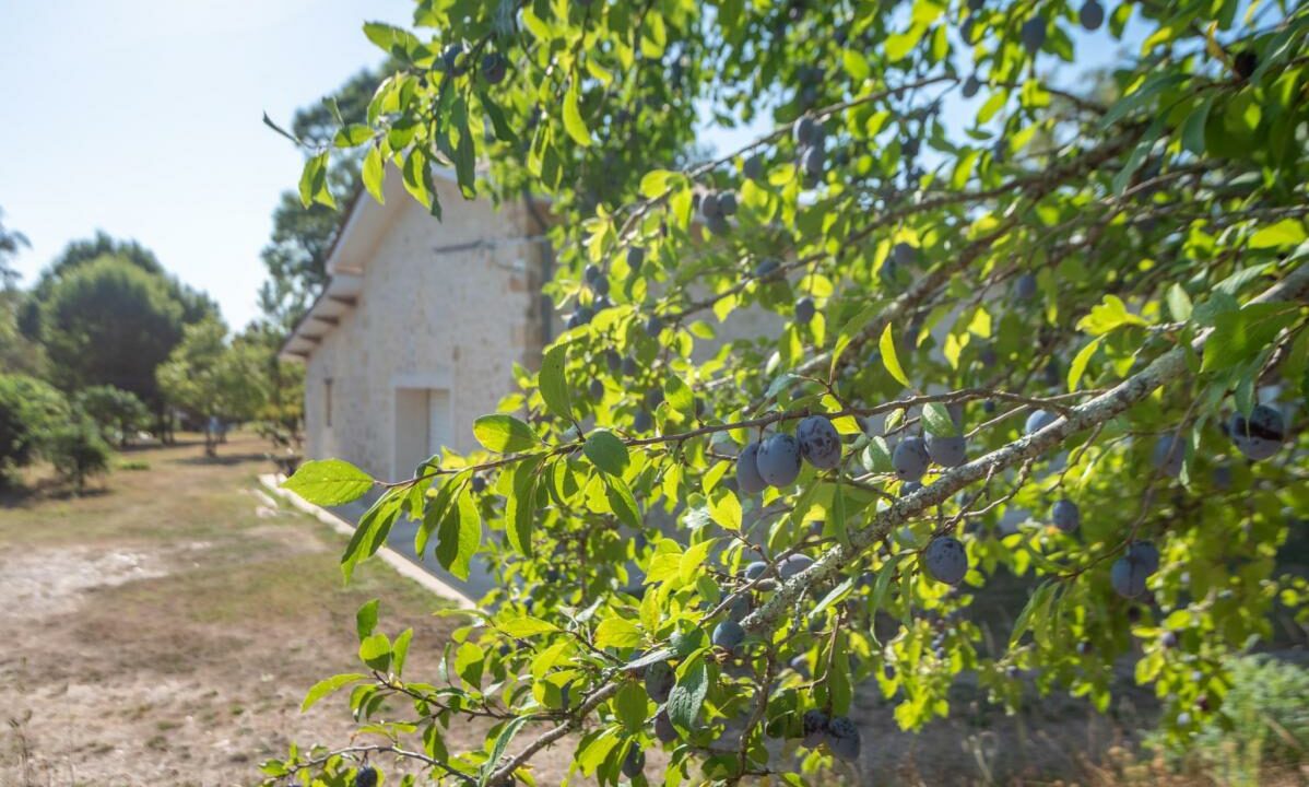 1209NL-23012026-140522-14