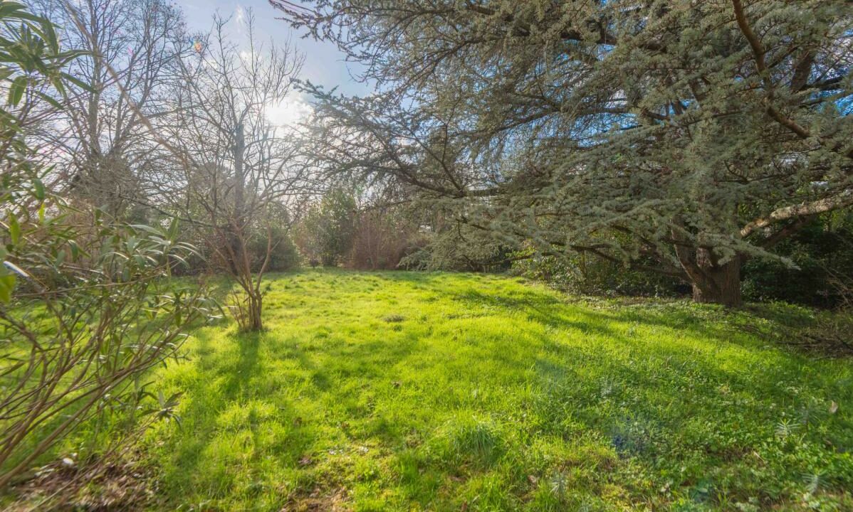 3031-28012026-012212-1