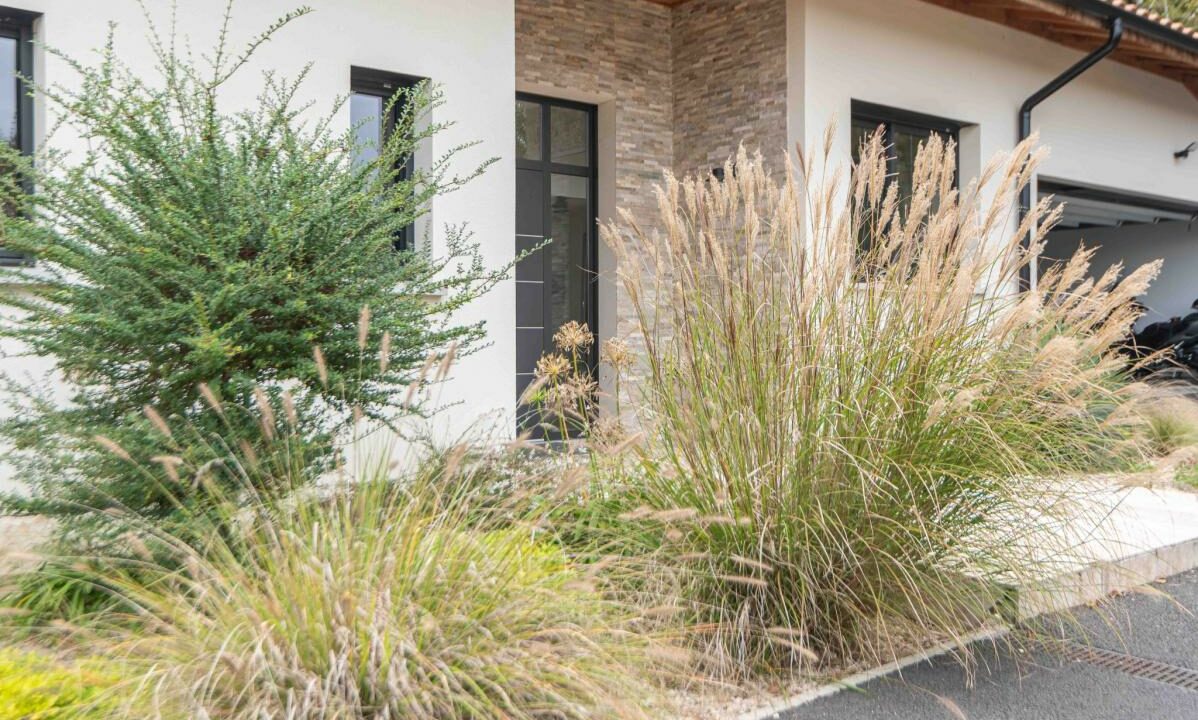 2924-12022026-203056-1