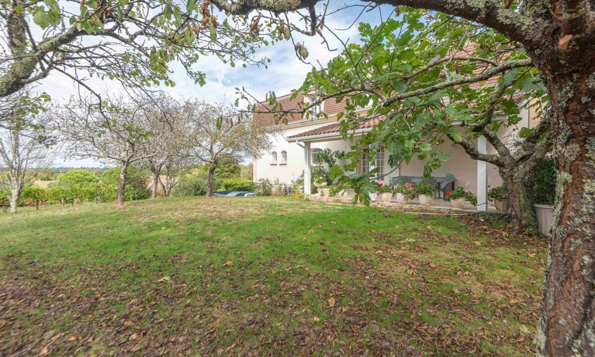 3003-07022026-024403-1