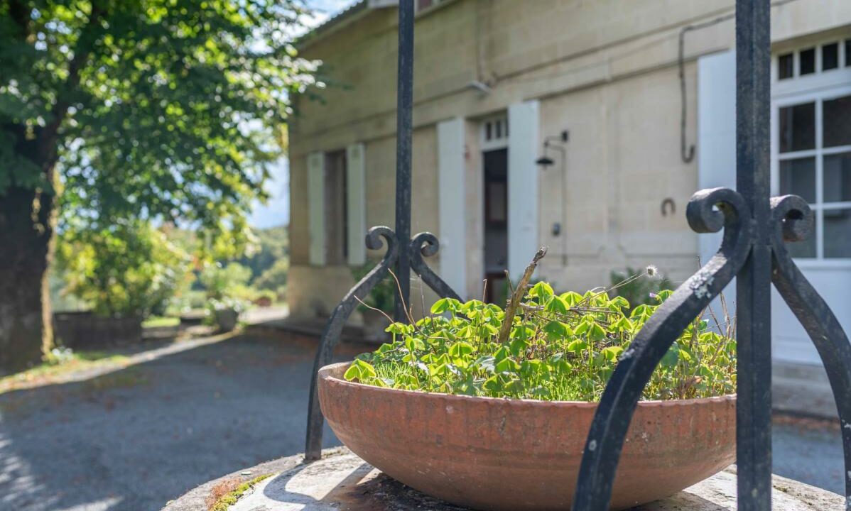 3004-12022026-203204-15