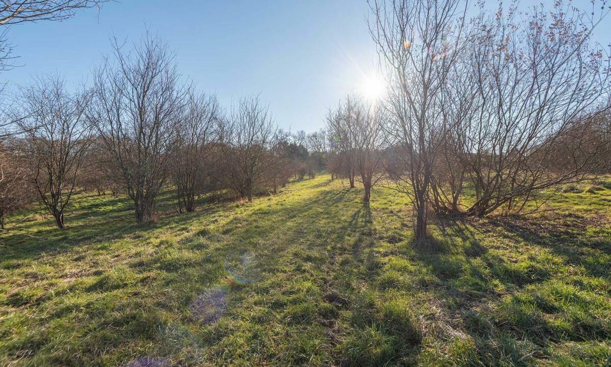 3029-04022026-014308-1