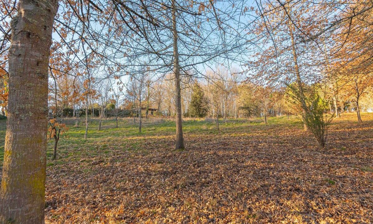 3029-04022026-014308-5