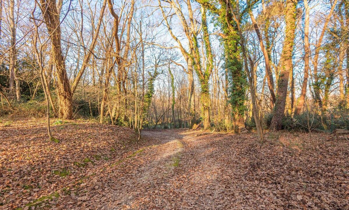 3029-04022026-014308-6