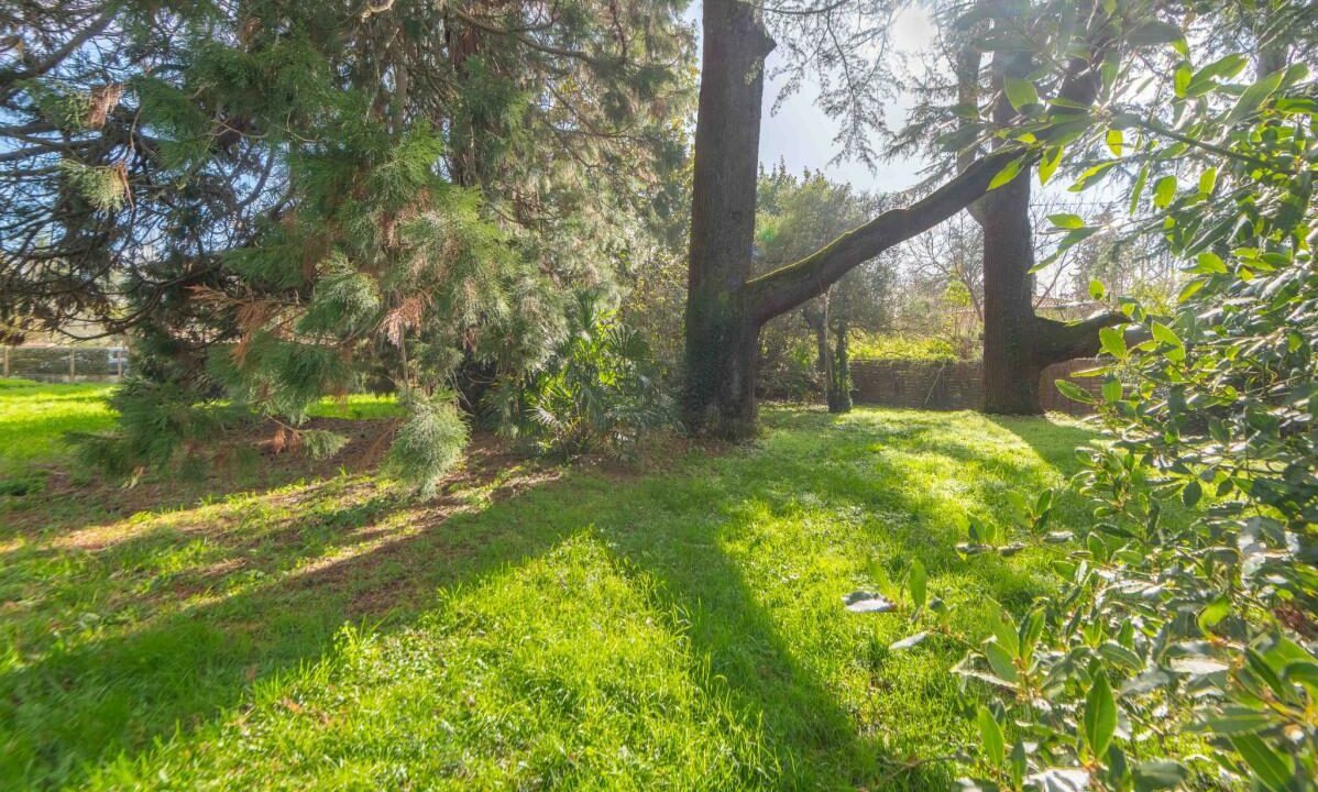 3036-26022026-194041-15