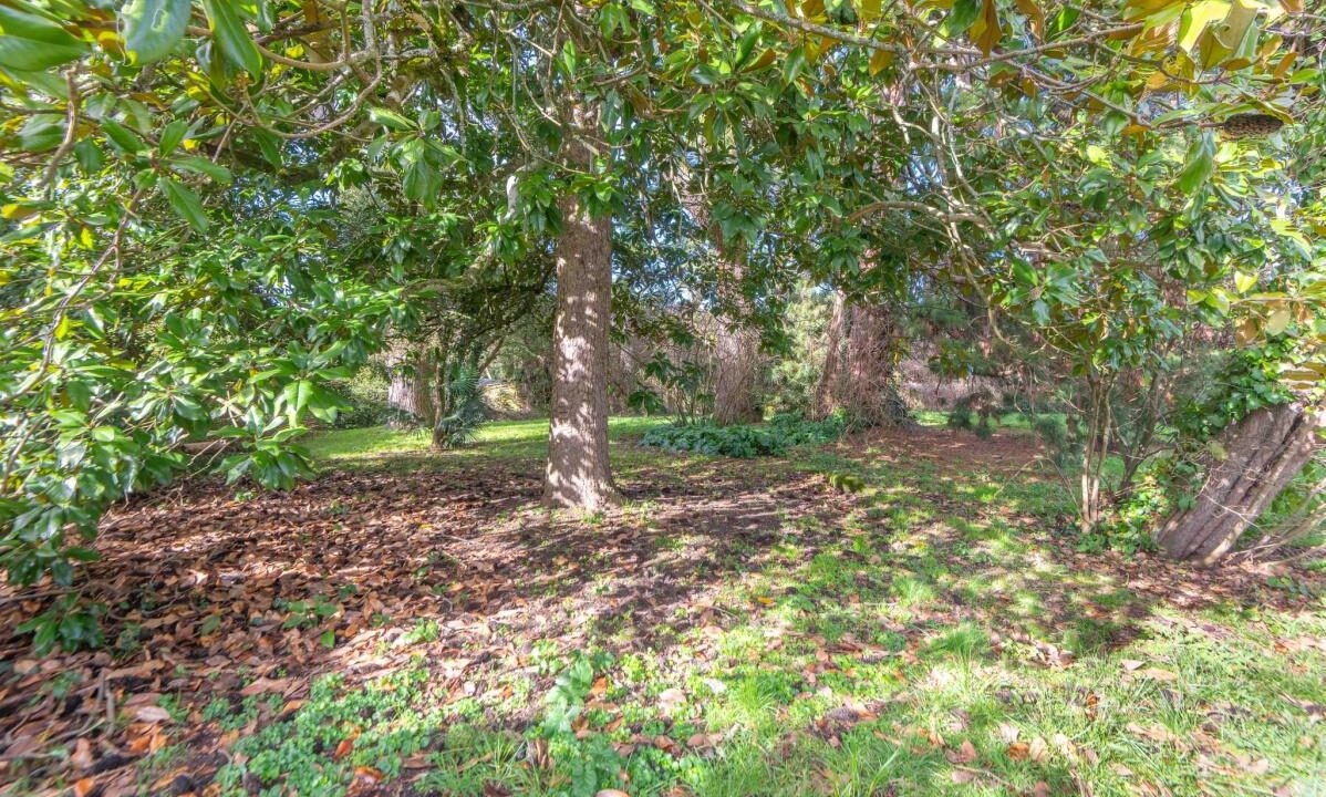 3036-27022026-192508-15