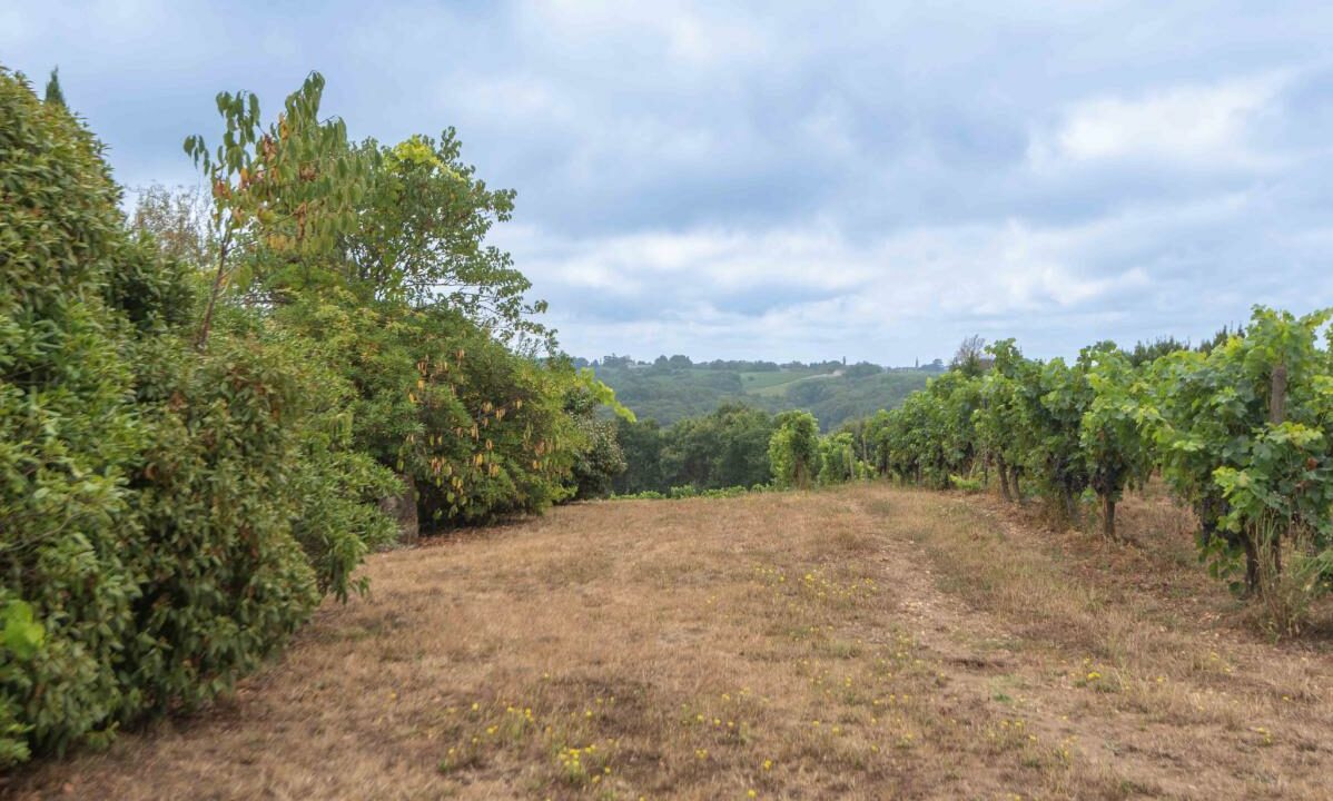 nl_240923-04022026-014302-16