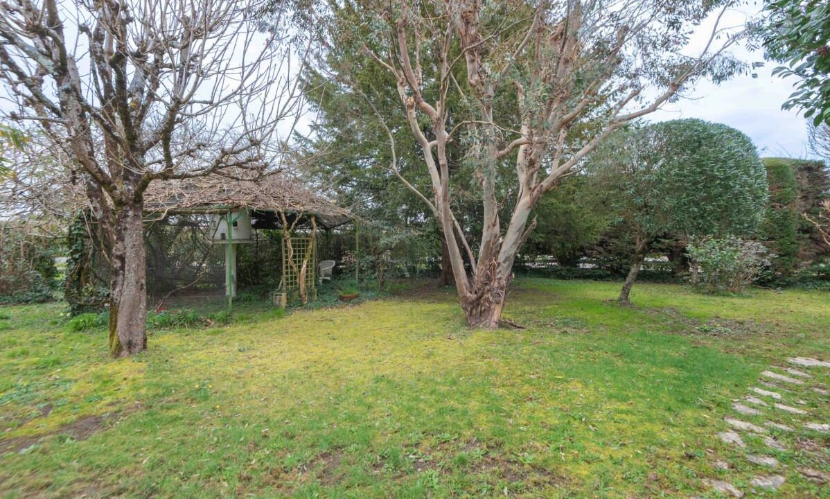 2951-10032026-135949-10