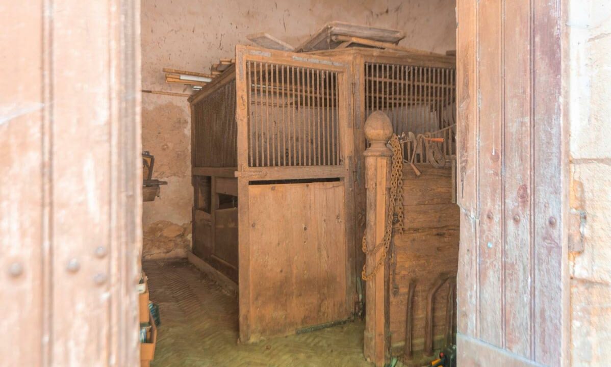 2995-13032026-115823-8