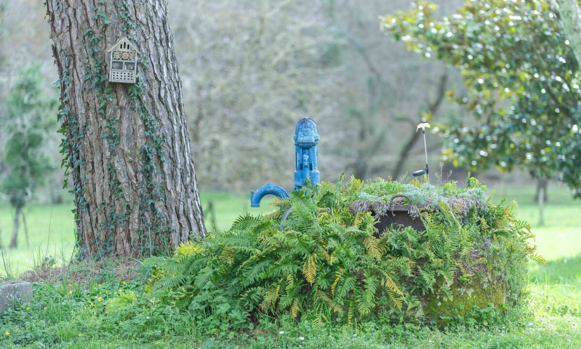 3038-04032026-010956-10