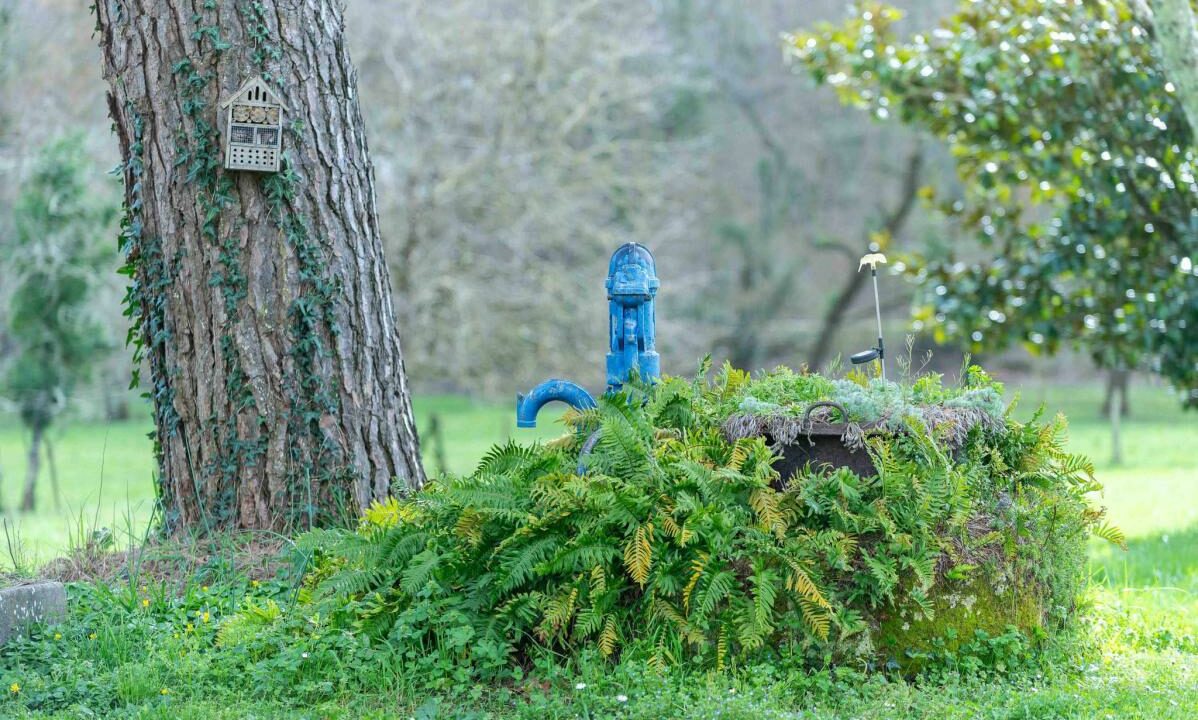 3038-04032026-214016-11