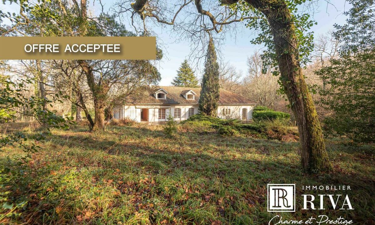 2941-09042026-040346