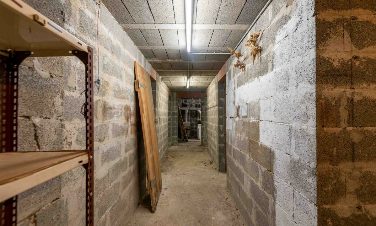 2941-09042026-040346-15