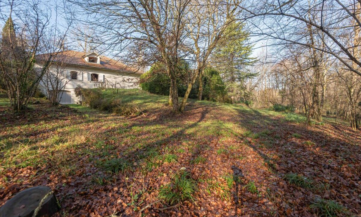 2941-09042026-040346-17