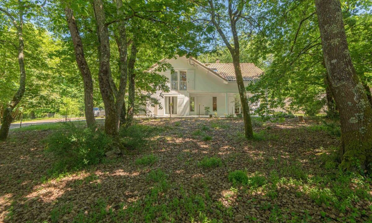 2973SB-11042026-203116-2