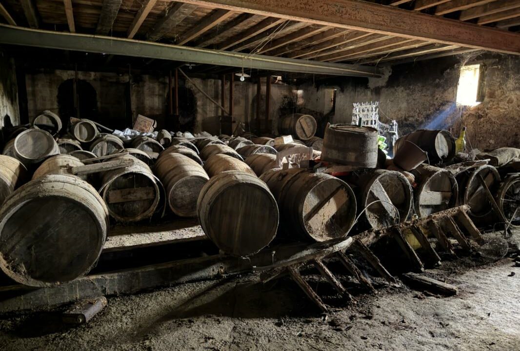 3036-01042026-155627-17