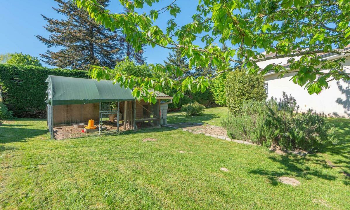 3051-20062026-163414-18