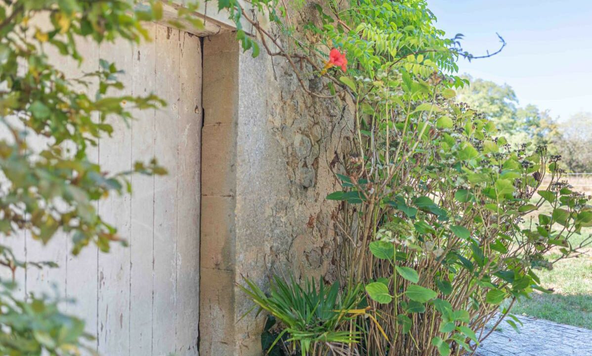 nl1211-15072026-120105-17